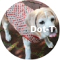 ̔